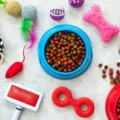 Flat lay with accessories for dog and cat on white wooden background. pet care